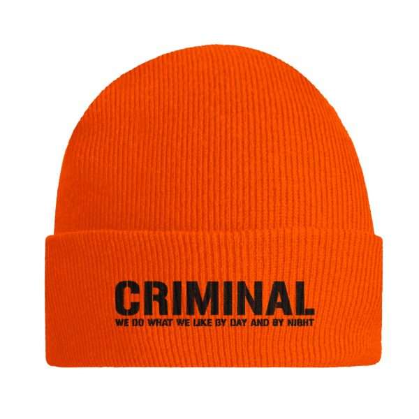 17fcdd9a-8c8a-4009-88f1-18eadd733108