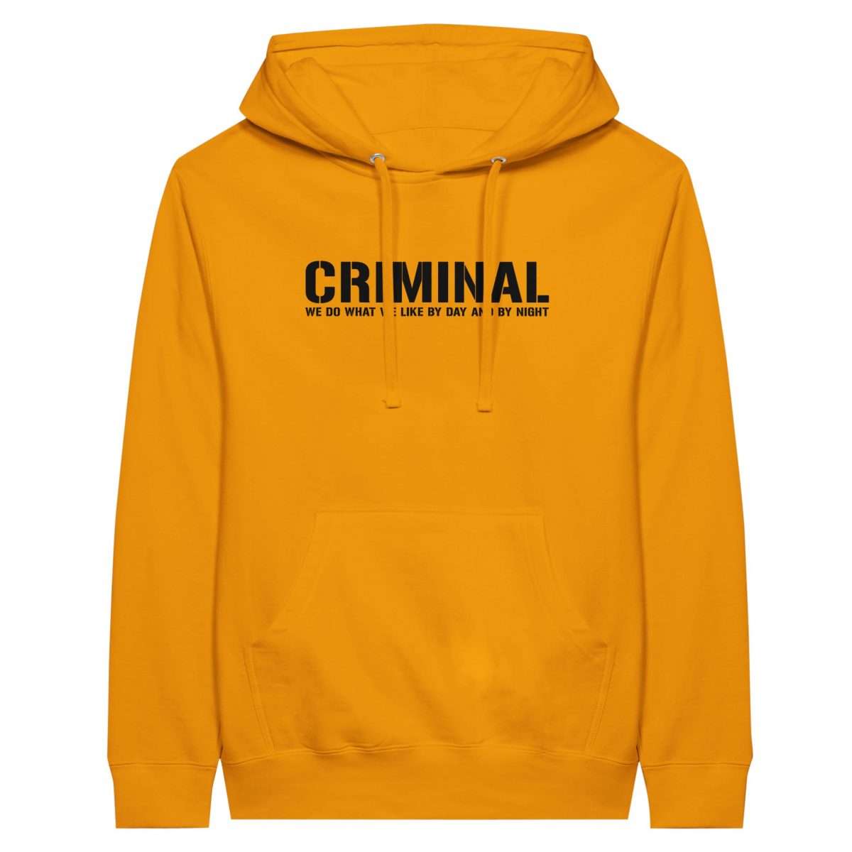 e17a4bee-921d-45d6-a92c-91a6a24315ed