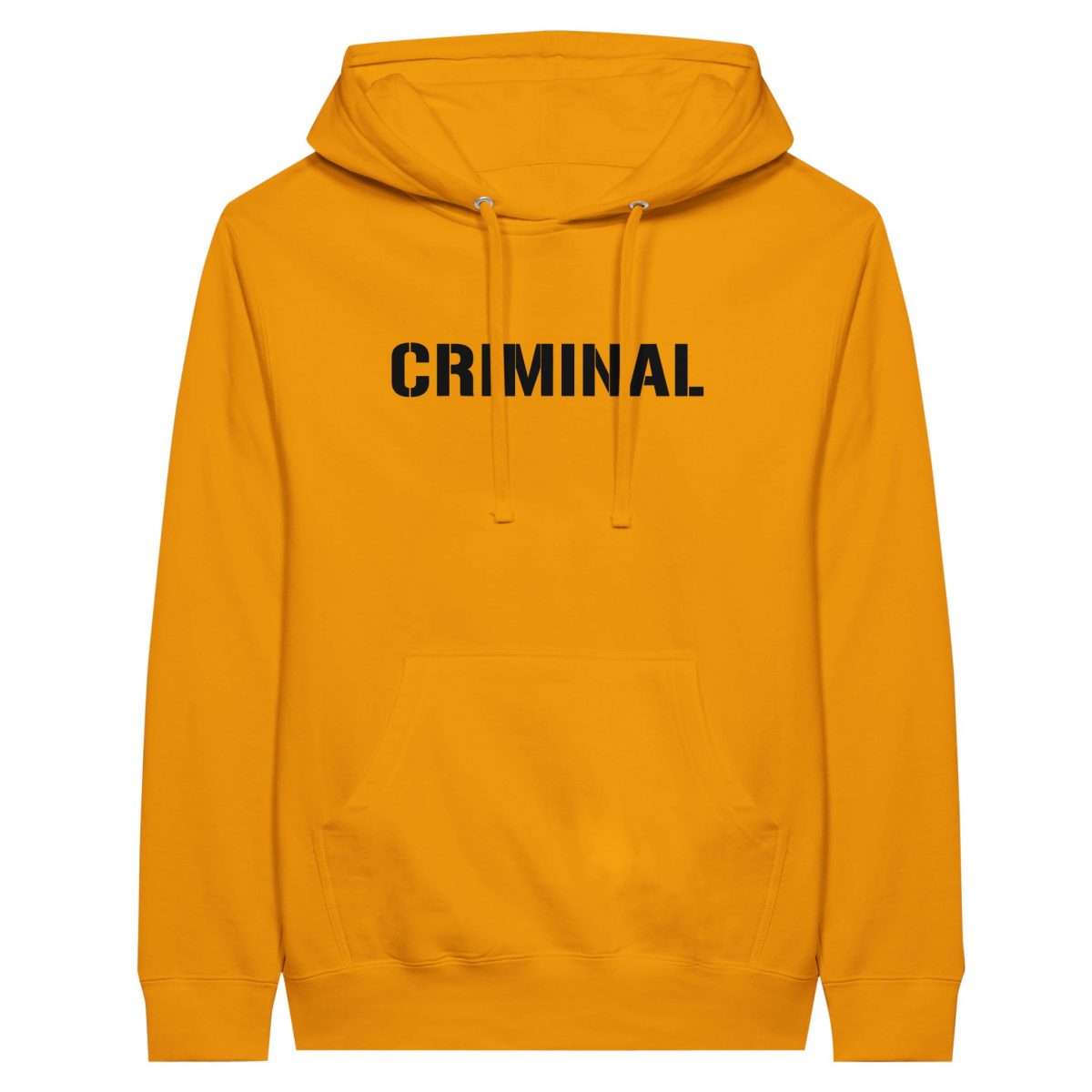 fecaec3d-9b6d-45bd-be70-5e13c98a18c5